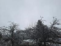 Olešná