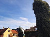 Olešná