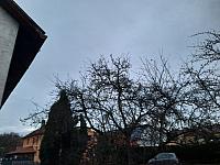 Olešná