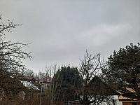 Olešná