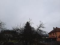 Olešná