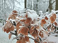 Hradec Králové - Třebeš