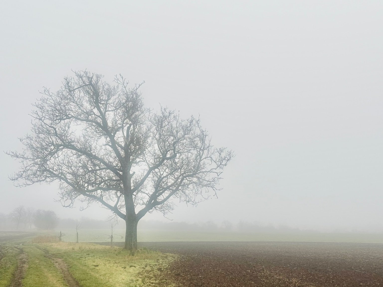 Hrnčiarovce nad Parnou